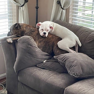 Meet your Posher, Thad